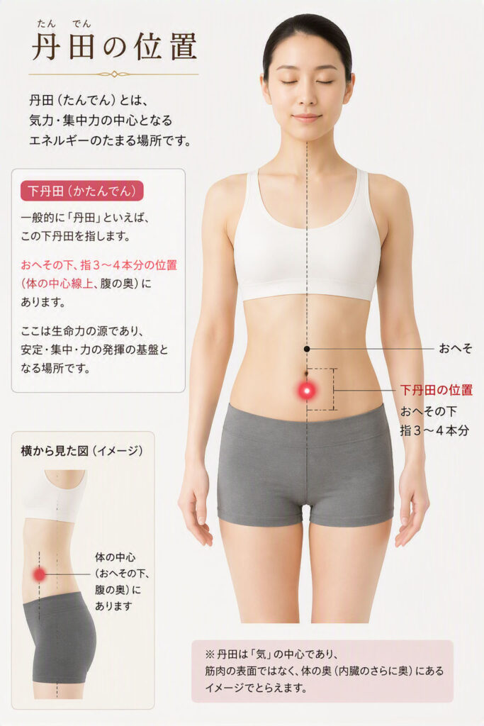 下腹部にある丹田の位置を示した人体図